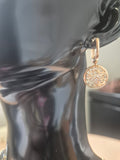 Dazzling earing drop set